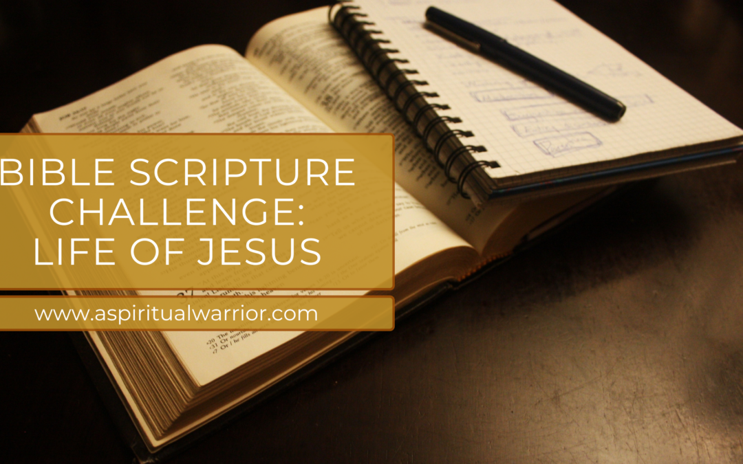 Bible Scripture Challenge: Life of Jesus